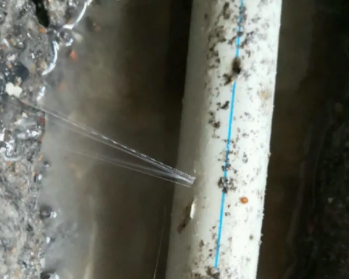 月湖卫生间测漏水多少钱